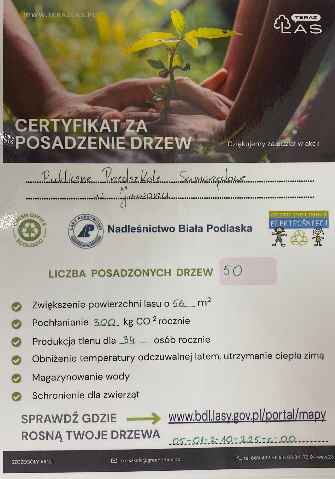 certyfikat ZA pozsadzenie drzew