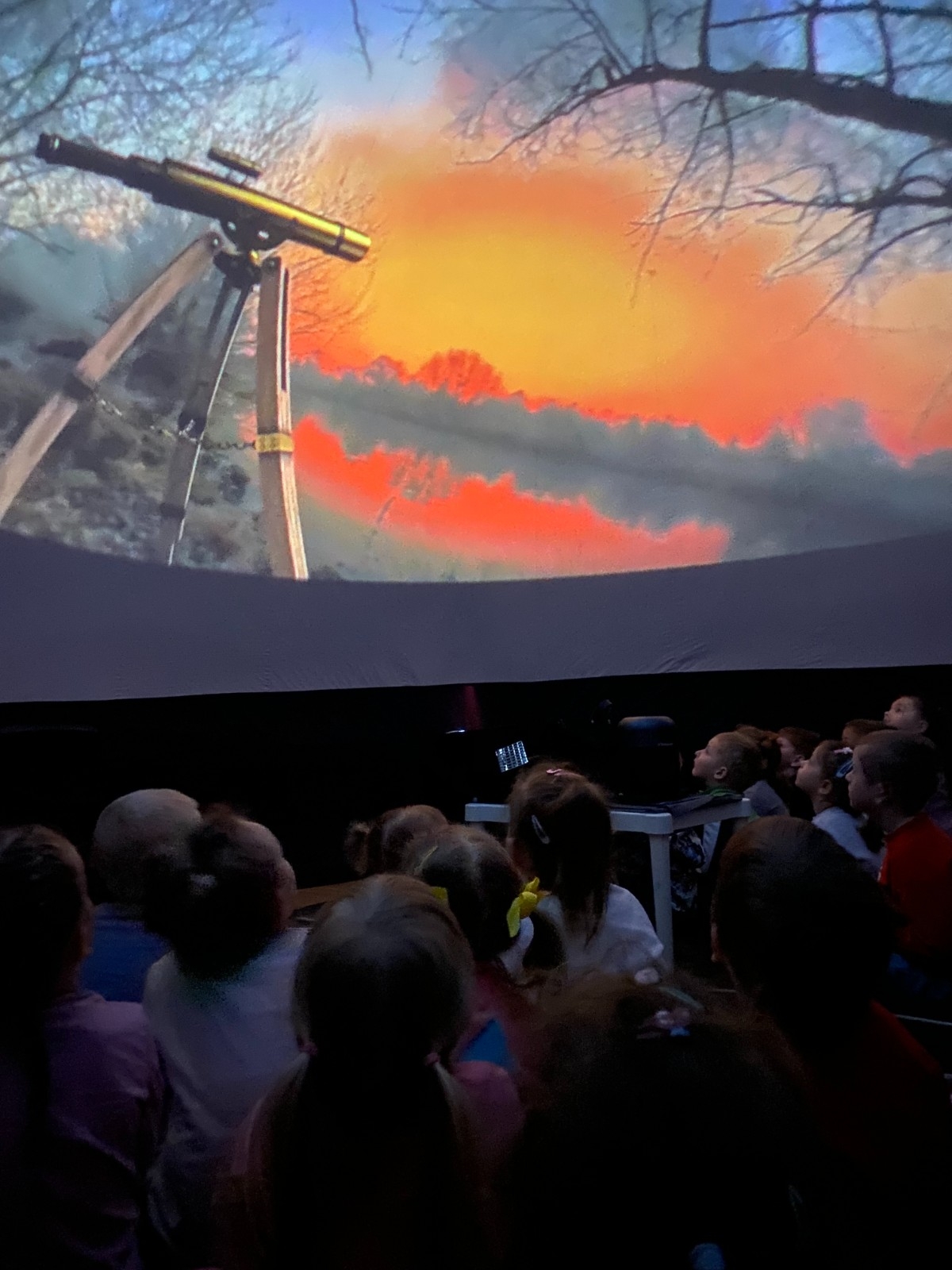 Motylki w Mobilnym Planetarium