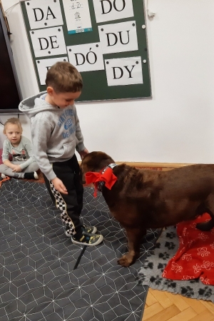 Przedszkole nr2 w Jaworzu