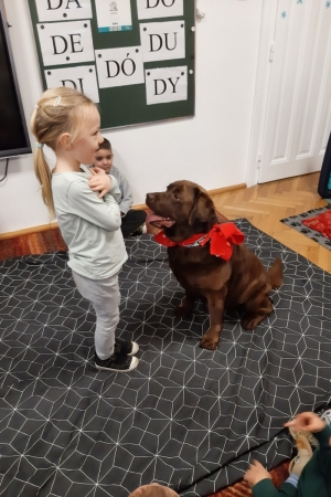 Przedszkole nr2 w Jaworzu