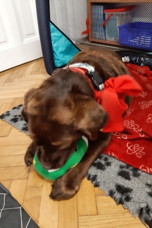 Przedszkole nr2 w Jaworzu