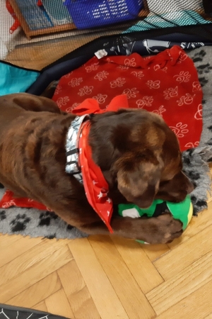 Przedszkole nr2 w Jaworzu