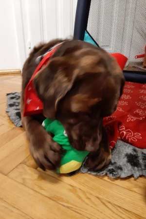 Przedszkole nr2 w Jaworzu