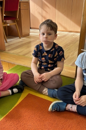 Zajęcia w grupie Poziomek