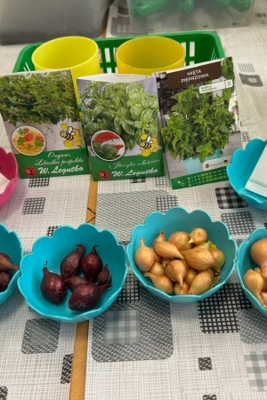 Wiosenne zajęcia w grupie Poziomek