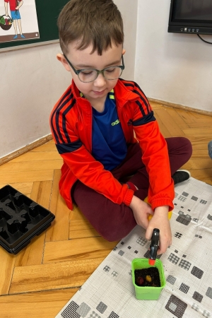 Wiosenne zajęcia w grupie Poziomek